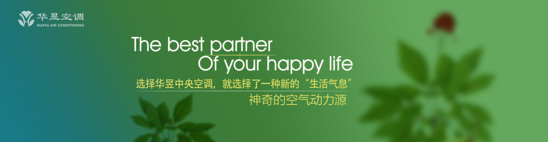 蜗角虚名网